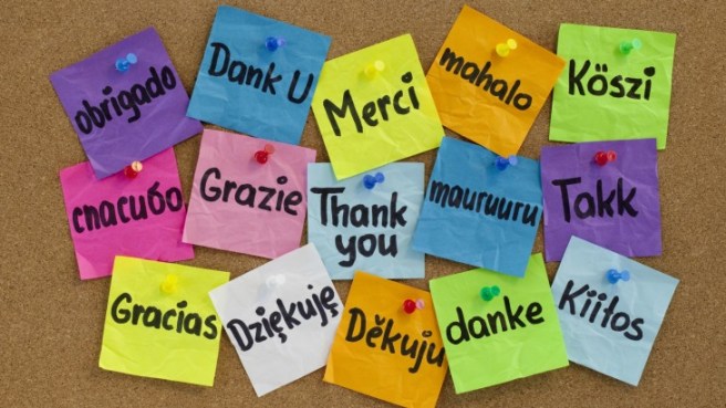 thankyou-730x411